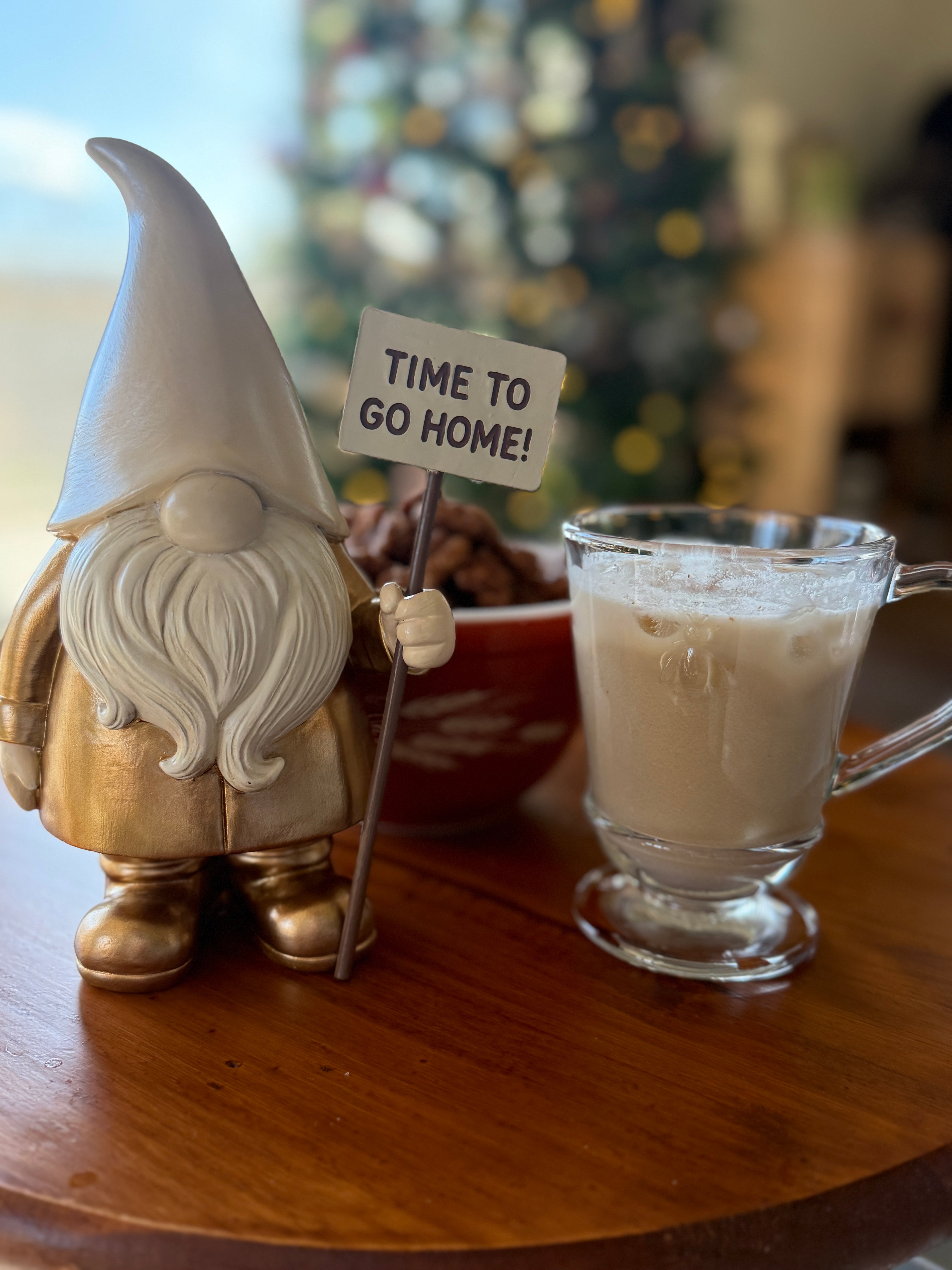 Go Home Gnome with 'Time to Go Home' Sign